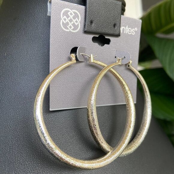 Silver Hoops Daisy Fuentes Fashion Earrings - Picture 5 of 8